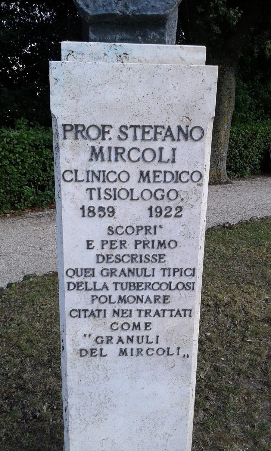 Stefano Mircoli's bust, Monterubbiano, Italy (by Claudio Pensieri) (3).jpg